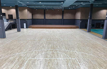 廣西木地板籃球場設計方案和流程
